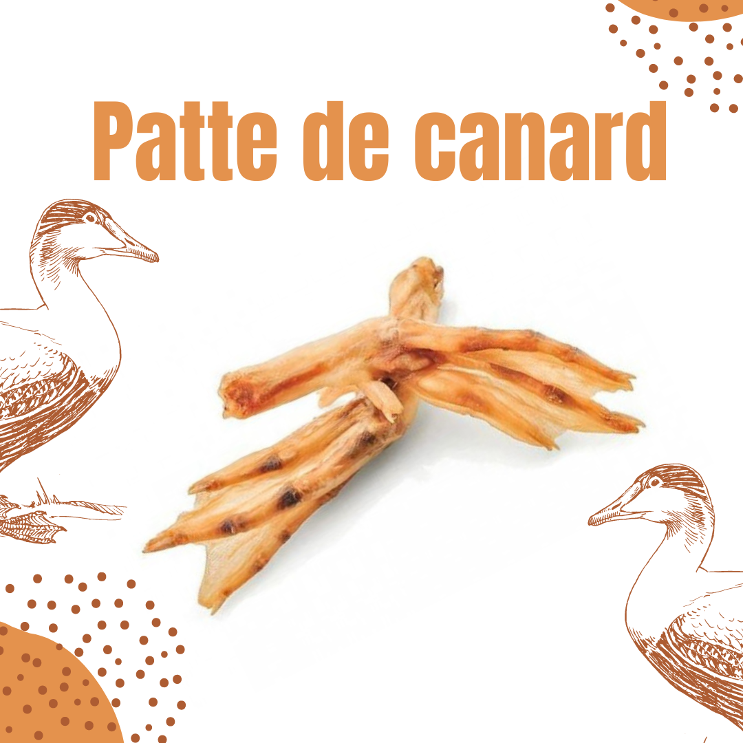 patte de canard friandises pour chien