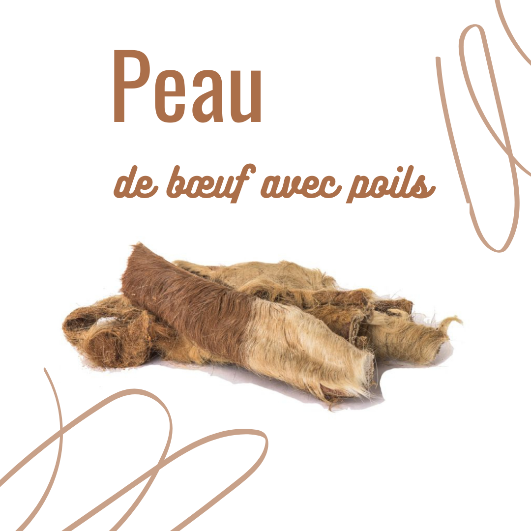 peau de boeufs avec poils