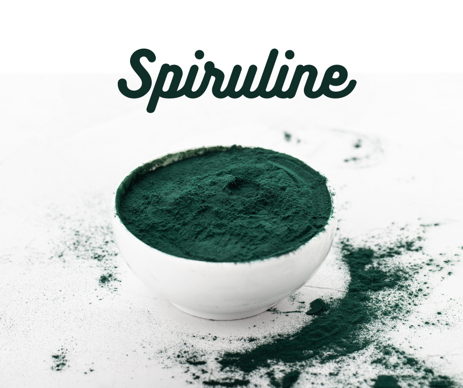 spiruline pour chien by pen ar dog