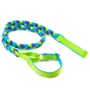 laisse tug avec collier pen ar dog