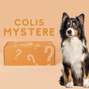 colis mystere pour chien by pen ar dog