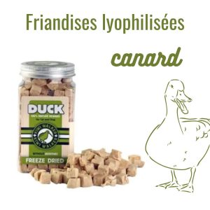 friandises lyophilisées canard by pen ar dog