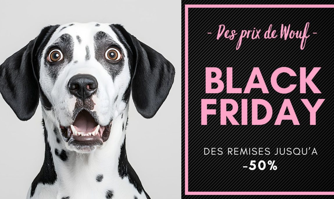 black friday chez pen ar dog